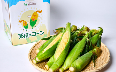 【先行予約】 熊本県八代市産「天使のコーン」2L～3Lサイズ 合計10本入り スイートコーン とうもろこし コーン料理 とうもろこし料理 【2026年5月中旬より順次発送】