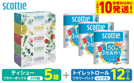 スコッティ 組み合わせ トイレットペーパー シングル 12ロール ティッシュ 250組 5箱 トイレットロール ティシュー