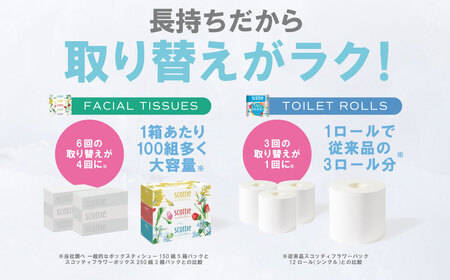 スコッティ 組み合わせ トイレットペーパー シングル 12ロール ティッシュ 250組 5箱 トイレットロール ティシュー