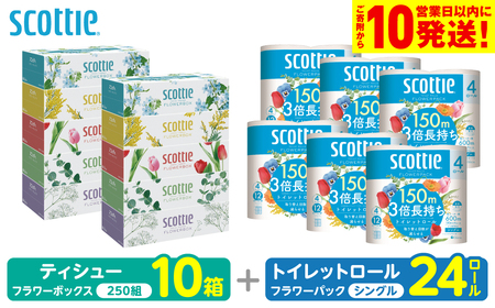 スコッティ 組み合わせ トイレットペーパー シングル 24ロール ティッシュ 250組 10箱 トイレットロール ティシュー