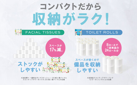 スコッティ 組み合わせ トイレットペーパー シングル 24ロール ティッシュ 250組 10箱 トイレットロール ティシュー