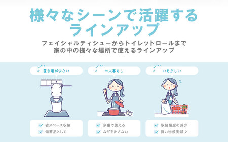 スコッティ 組み合わせ トイレットペーパー シングル 24ロール ティッシュ 250組 10箱 トイレットロール ティシュー