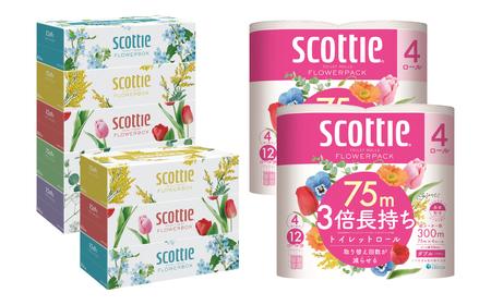 【スコッティ】ティシュー フラワーボックス 250組（5箱パック×1セット・3箱パック×1セット）＋フラワーパック 3倍長持ち（4ロール(ダブル)パックx2セット）ティッシュ トイレットペーパー 日用品