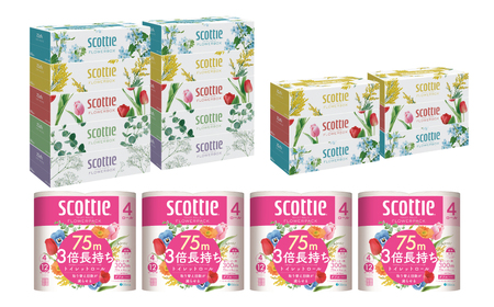 【スコッティ】ティシュー フラワーボックス 250組(5箱パック×2セット・3箱パック×2セット)+フラワーパック 3倍長持ち(4ロール(ダブル)パック×4セット)ティッシュ トイレットペーパー 日用品