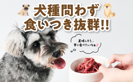 ペット用 馬肉切り落とし2kg 馬肉 ペットフード 愛犬 ドッグフード おやつ 食事 ごはん