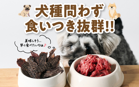 ペット用 馬肉切り落とし1kg＆馬刺しジャーキー100g 馬肉 ペットフード 愛犬 ドッグフード おやつ 食事 ごはん