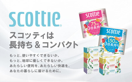 【定期便3回】【毎月1回お届け】【スコッティ】ティシュー フラワーボックス 250組（5箱パック×2セット）＋フラワーパック 3倍長持ち（4ロール(ダブル)パック×6セット）ティッシュ トイレットペーパー 日用品