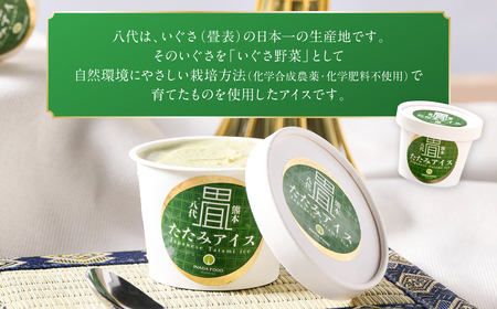 たたみアイス 8個入 いぐさ 畳 スイーツ いぐさミルク味 玄米味 食用いぐさ 和風アイス デザート おやつ ジャージー牛乳使用