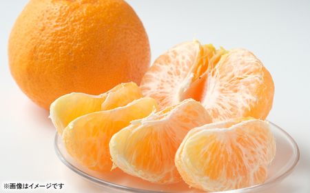 不知火（デコポンと同品種） 約2kg しらぬい でこみかん 柑橘 ミカン ポンカン くだもの 果物 フルーツ