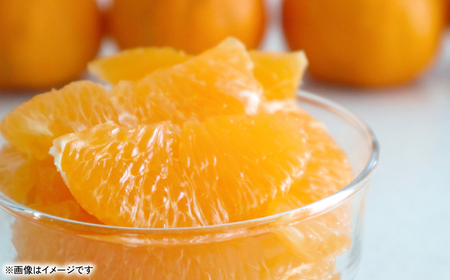 不知火（デコポンと同品種） 約2kg しらぬい でこみかん 柑橘 ミカン ポンカン くだもの 果物 フルーツ