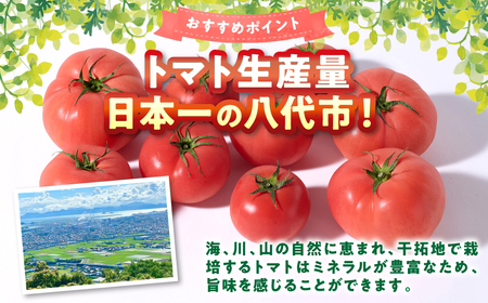 訳あり おっぺしゃんトマト 4kg トマト とまと 野菜 やさい 旬の野菜 地元産野菜 特産品 お取り寄せ 家庭用 食卓