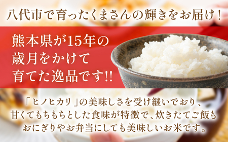 《令和7年産》くまさんの輝き 5kg×2袋 合計10kg  熊本県 八代市産 米 お米 精米 白米 国産
