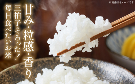 《令和7年産》くまさんの輝き 5kg×2袋 合計10kg  熊本県 八代市産 米 お米 精米 白米 国産