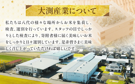 《令和7年産》くまさんの輝き 5kg×2袋 合計10kg  熊本県 八代市産 米 お米 精米 白米 国産
