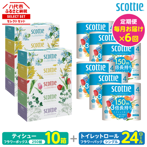 【定期便6回】【毎月お届け】【スコッティ】 組み合わせ ティシュー フラワーボックス 250組 10箱 計60箱 トイレットロール シングル フラワーパック 3倍長持ち 24ロール 計144ロール ティッシュ トイレットペーパー 日用品 ストック 防災備蓄 ストック 備蓄 新生活 防災 消耗品 生活用品 日用消耗品 箱ティッシュ 10,500円