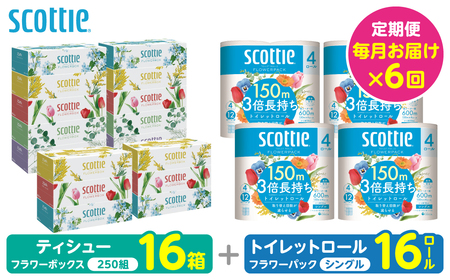 【定期便6回】【毎月お届け】【スコッティ】 組み合わせ ティシュー フラワーボックス 250組 16箱 計96箱 トイレットロール シングル フラワーパック 3倍長持ち 16ロール 計96ロール ティッシュ トイレットペーパー 日用品 ストック 防災備蓄 ストック 備蓄 新生活 防災 消耗品 生活用品 日用消耗品 箱ティッシュ