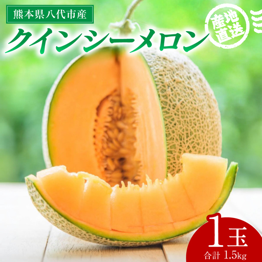 【先行予約】 産地直送 クインシーメロン 1玉 約1.5kg クインシー メロン めろん 赤肉メロン 赤肉 果物 くだもの フルーツ デザート 贈り物 国産 熊本県 八代市 【2026年5月下旬より順次発送】