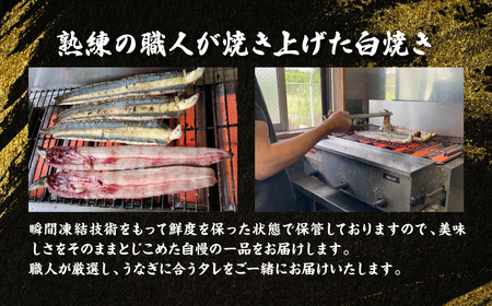 熊本県八代市産 天然うなぎ白焼き(中) 2本 (計300～350g) 蒲焼のたれ付き 鰻 国産 蒲焼 ウナギ うなぎ 冷凍