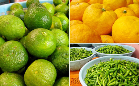 いずみ調味料セット(柚子こしょう 青唐辛子にんにく ゆずポン酢など)