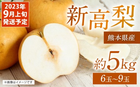 【先行予約】 新高梨 5kg 6玉~9玉 梨 新高 八代市 熊本県産
