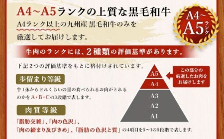 九州産 黒毛和牛 焼肉 切り落とし 約500g A5ランク ロース バラ肉 和牛 牛肉 熊本県八代市 ふるさと納税サイト ふるなび 九州産 黒毛和牛 焼肉 切り落とし 約500g A5ランク ロース バラ肉 和牛 牛肉 熊本県八代市 ふるさと納税サイト ふるなび