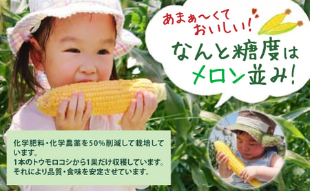 【期間限定】7月10日まで！熊本県八代市産 スイートコーン ゴールドラッシュ 4kg とうもろこし 朝採り 高糖度