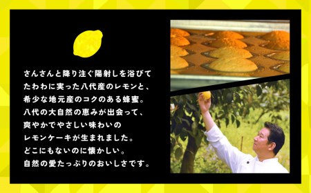 レモンケーキ 15個入 八代産レモン使用 焼き菓子 洋菓子 