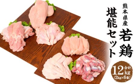 熊本県産 若鶏 堪能 セット 合計12kg(2kg×6種) もも むね 手羽先 ささみ 手羽元 砂肝