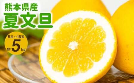 先行予約 熊本県産 夏文旦 5kg 8玉 15玉 ぶんたん 柑橘 熊本県八代市 ふるさと納税サイト ふるなび 先行予約 熊本県産 夏文旦 5kg 8玉 15玉 ぶんたん 柑橘 熊本県八代市 ふるさと納税サイト ふるなび