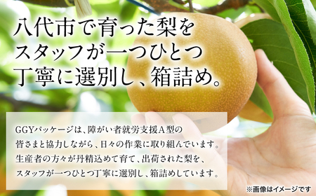 【先行予約】 豊水梨 約5kg (6～22玉) 梨 なし ナシ フルーツ くだもの 果物 旬 熊本県 八代市 【2026年8月中旬より順次発送】