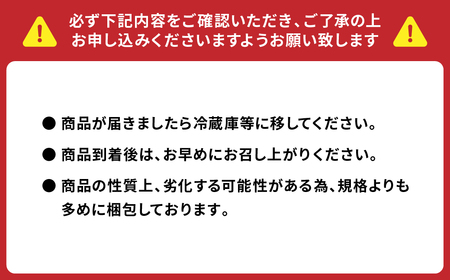 熊本県産 トマト はなまるお 4kg トマト とまと 八代市産