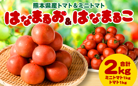 【順次発送】熊本県産トマト 1kg ＆ ミニトマト 1kg  合計2kg はなまるお ＆ はなまるこ