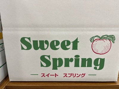 熊本県八代市産 スイートスプリング 約5kg 柑橘 フルーツ 果物
