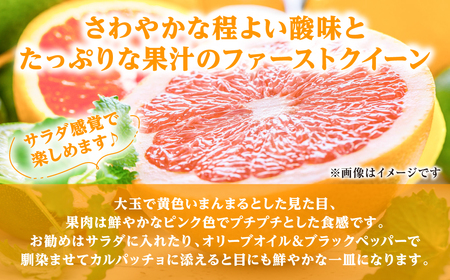 【先行予約】ファーストクイーン 2玉 サラダ感覚 熊本県 八代市産 みかん ザボン 文旦 【2026年10月下旬より順次発送】