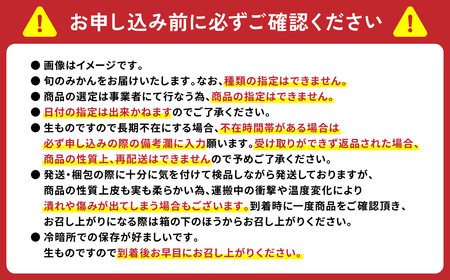 【訳あり】熊本県八代市産 ご家庭用みかん5kg 蜜柑 柑橘 ミカン