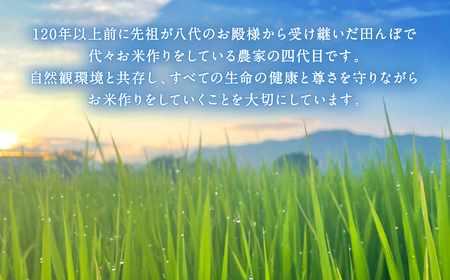 《令和7年産》 自然栽培米 くらら 精米 5kg （八代産ヒノヒカリ）