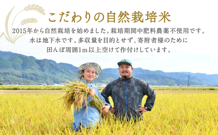 《令和7年産》 自然栽培米 くらら 精米 5kg （八代産ヒノヒカリ）