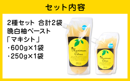 熊本県 八代市産 晩白柚 ペースト 「マキシト」2種セット（合計850g） ばんぺいゆ 柑橘 手作り ペースト ジャム フルーツソース ジュレ ピューレ 炭酸割り アイス ヨーグルト トースト パンケーキ