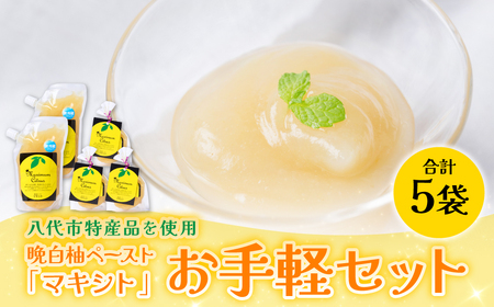 熊本県 八代市産 晩白柚 ペースト「マキシト」『お手軽セット』（合計740g） ばんぺいゆ 柑橘 手作り ペースト ジャム フルーツソース ジュレ ピューレ 炭酸割り アイス ヨーグルト トースト パンケーキ