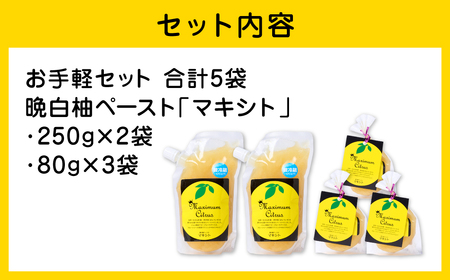 熊本県 八代市産 晩白柚 ペースト 「マキシト」 お手軽セット 計1000g