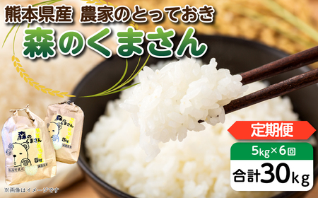 定期便6回】 【令和5年産】 八代市産 森のくまさん 農家の