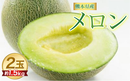 熊本県産 メロン 合計約3kg (約1.5kg×2玉) 肥後グリーンメロン