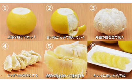 八代市産 晩白柚 2玉 2Lサイズ 約4kg