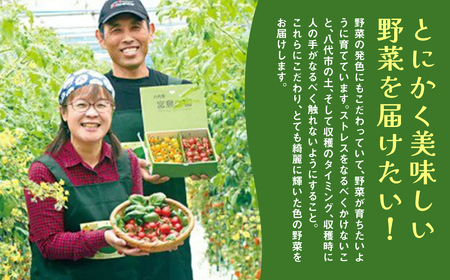 八代市産 宮島農園 ミニトマト (ミックス)1.2kg とまと 野菜 赤トマト 黄色トマト