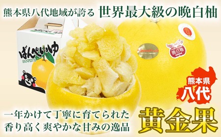 熊本県八代市産 晩白柚 2Lサイズ 2玉入り 約4kg 果物 くだもの フルーツ 柑橘類 青果物 特産品 お取り寄せ