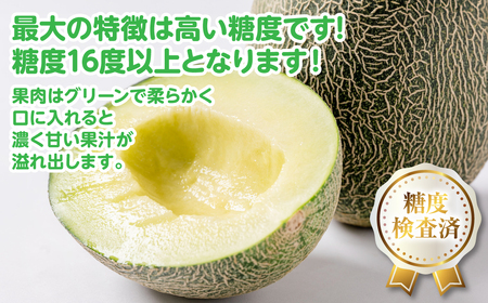 【先行予約】高糖度 2026年 八代産 肥後グリーンメロン 3Lサイズ以上 4～5玉 化粧箱入 お中元 夏 ギフト メロン めろん フルーツ 期間限定 【2026年5月中旬より順次発送】