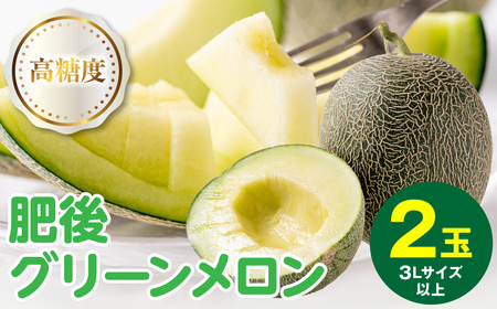 【先行予約】高糖度 2026年 八代産 肥後グリーンメロン 3Lサイズ以上 2玉 化粧箱入 お中元 夏 ギフト メロン めろん フルーツ 期間限定 【2026年5月中旬より順次発送】