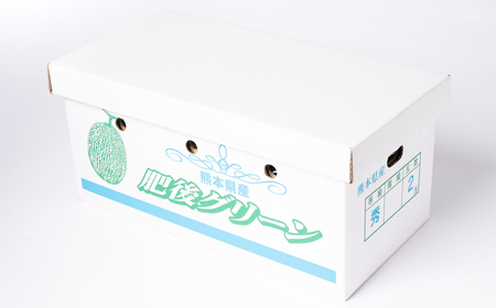 【先行予約】高糖度 2026年 八代産 肥後グリーンメロン 3Lサイズ以上 2玉 化粧箱入 お中元 夏 ギフト メロン めろん フルーツ 期間限定 【2026年5月中旬より順次発送】