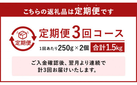 【3ヶ月定期便】熊本県産 栗 渋皮煮 250g×2個 年3回