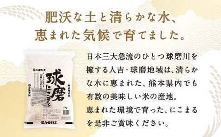 【令和5年産】球磨にこまる 5kg×2袋 精米 10kg